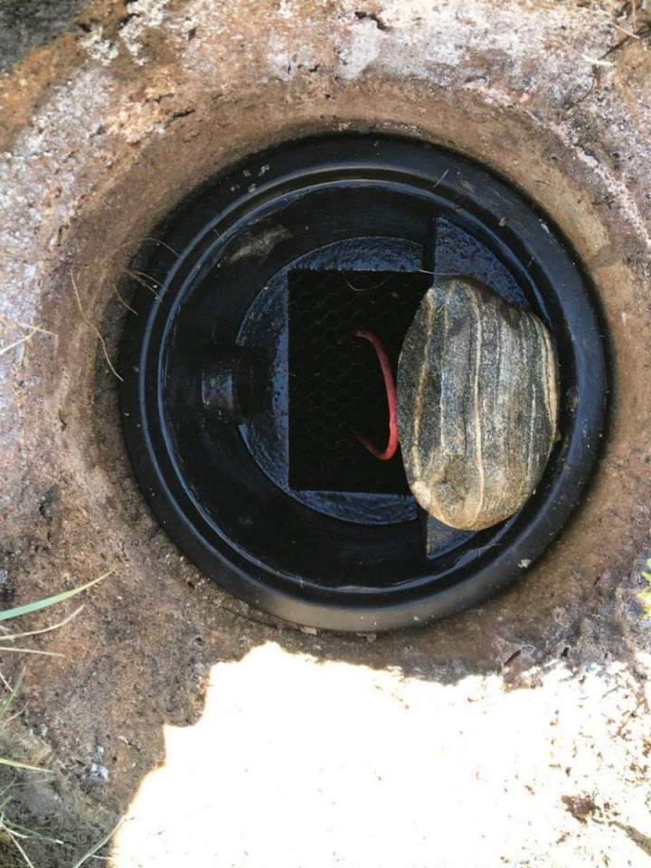 Vidange de fosse septique Voiron